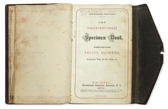 (BOTANICAL.) Dewey, D. M. The Nurserymens Pocket Specimen Book, Colored from Nature.